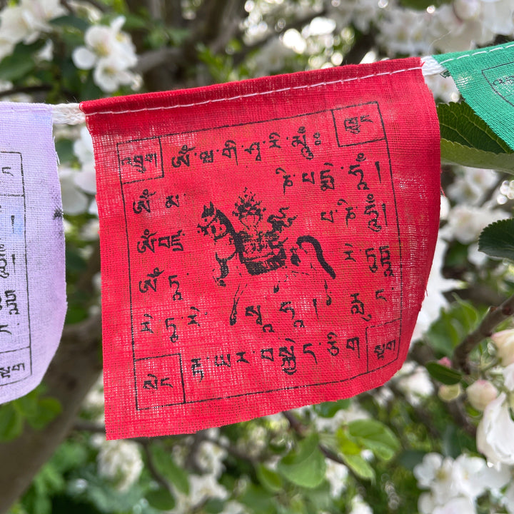 Tibetanske flag