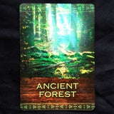 Native Spirit oracle cards